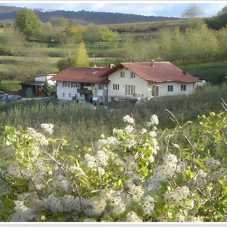 Weingut Ringwald Apartman Herbolzheim Kültér fotó