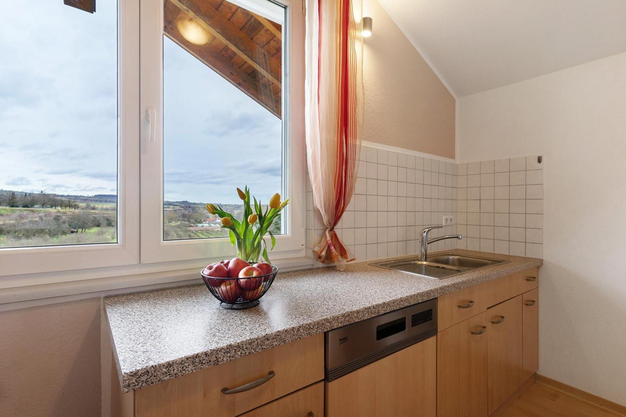 Weingut Ringwald Apartman Herbolzheim Kültér fotó