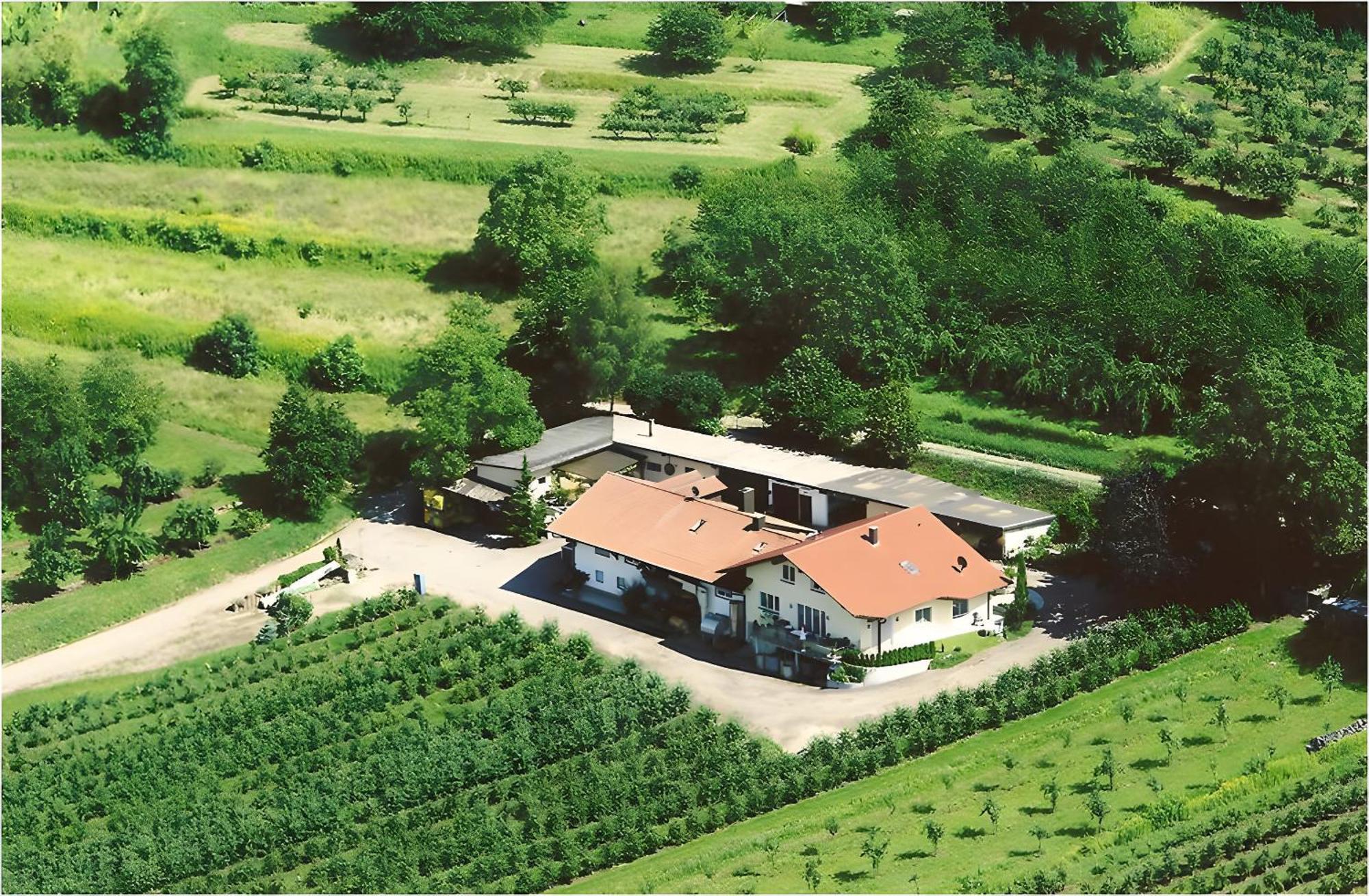 Weingut Ringwald Apartman Herbolzheim Kültér fotó